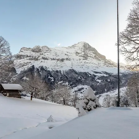 Daire Schuerli - Aare Jungfrau Ag Grindelwald