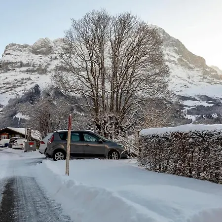 Schuerli - Aare Jungfrau Ag Daire