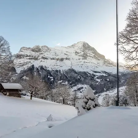 Schuerli - Aare Jungfrau Ag * Grindelwald