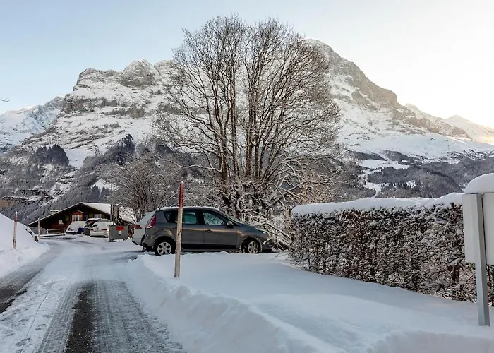 Schuerli - Aare Jungfrau Ag Grindelwald