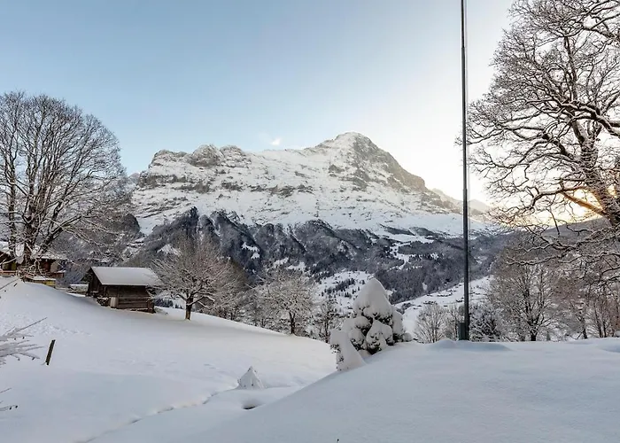 Appartement Schuerli - Aare Jungfrau Ag Grindelwald