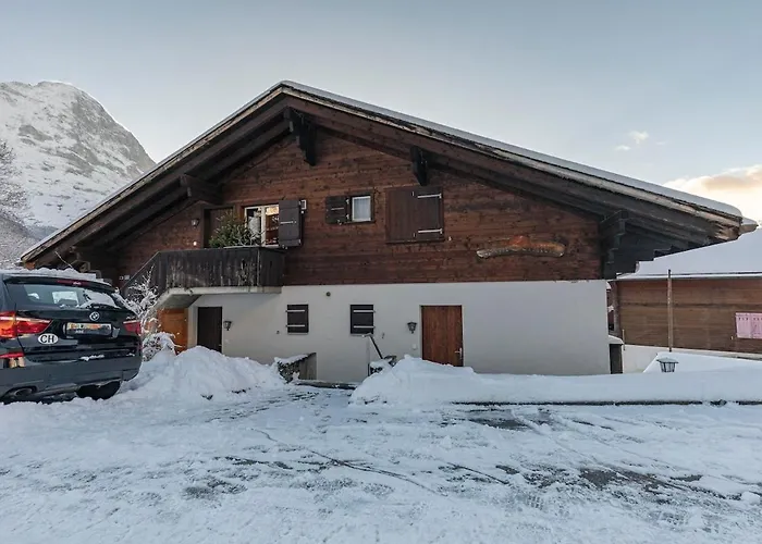 Schuerli - Aare Jungfrau Ag *