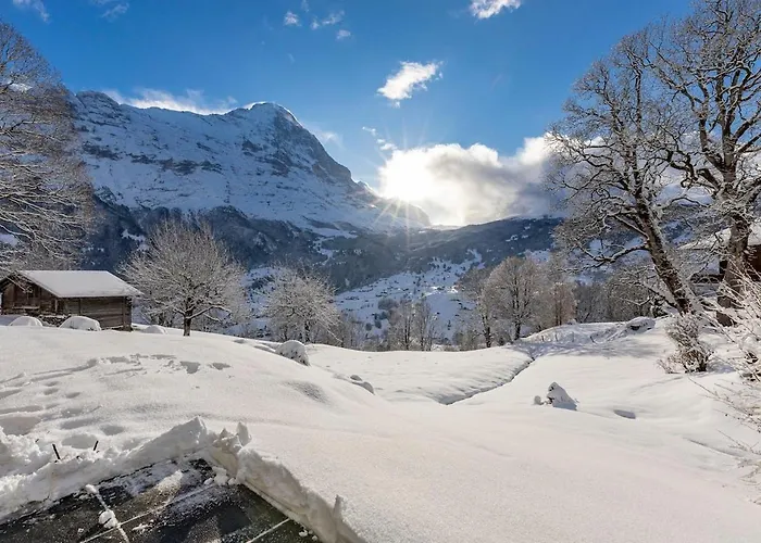 Schuerli - Aare Jungfrau Ag Appartement Grindelwald