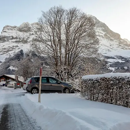 Schuerli - Aare Jungfrau Ag 그린델발트