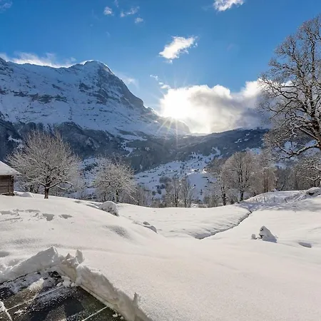 Schuerli - Aare Jungfrau Ag 아파트 그린델발트